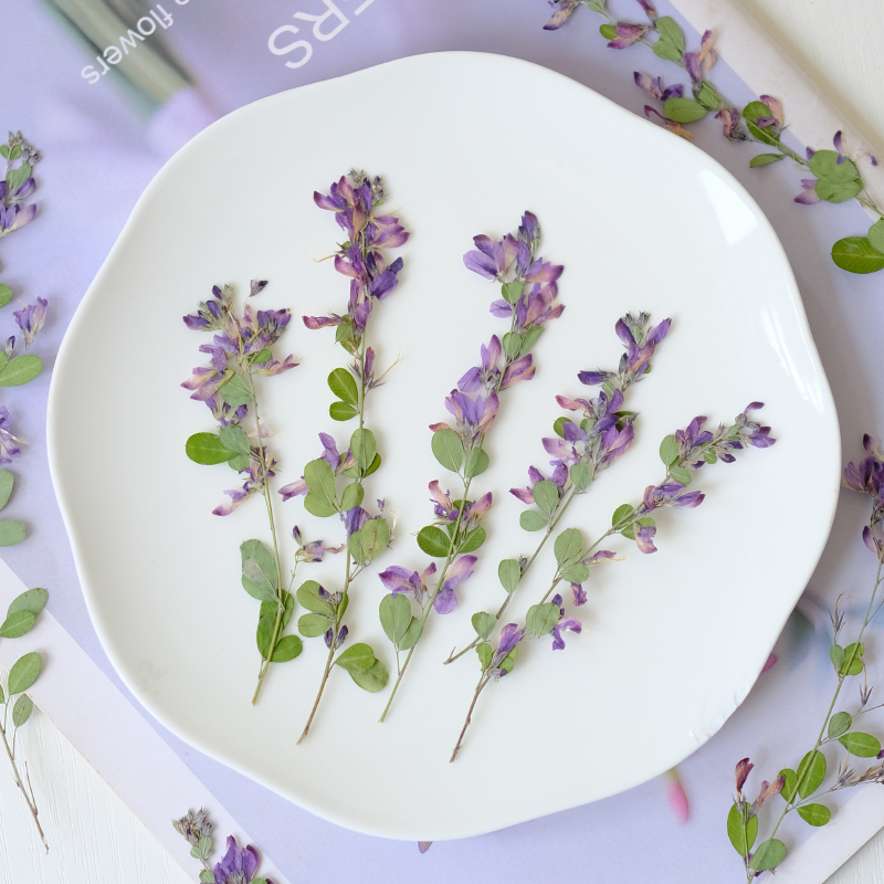 6pcs,nature Lespedeza Formosa  - đánh giá và giá Resin Art Bookmark