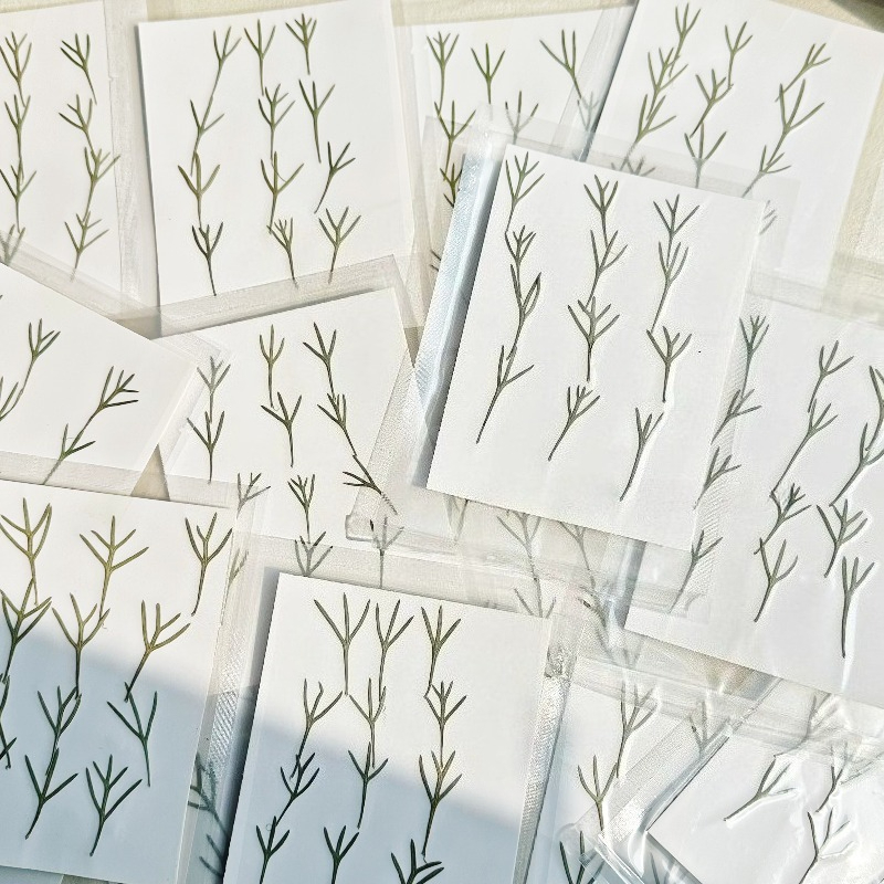 24pcs,Real Pressed Achillea Le - đánh giá và giá Resin Art Bookmark
